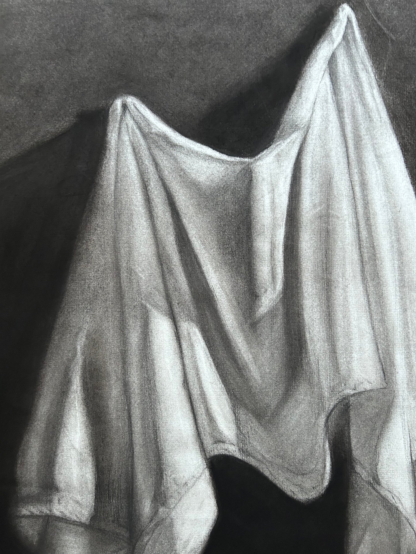 Estudio de tela al carboncillo (obra ORIGINAL)