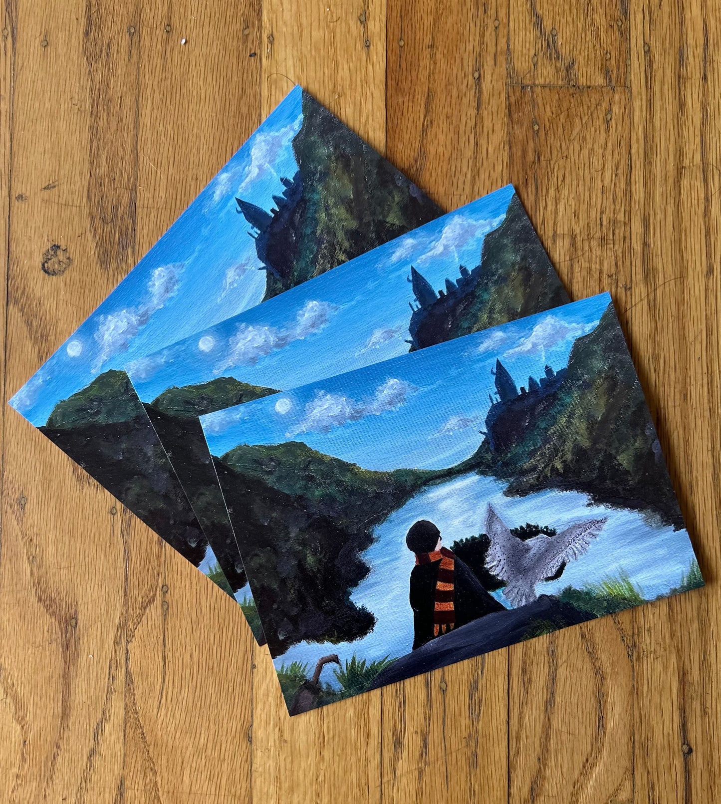 ¡Lámina artística “Harry y Hedwig”!